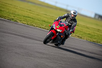 PJ-Motorsport-2019;anglesey-no-limits-trackday;anglesey-photographs;anglesey-trackday-photographs;enduro-digital-images;event-digital-images;eventdigitalimages;no-limits-trackdays;peter-wileman-photography;racing-digital-images;trac-mon;trackday-digital-images;trackday-photos;ty-croes